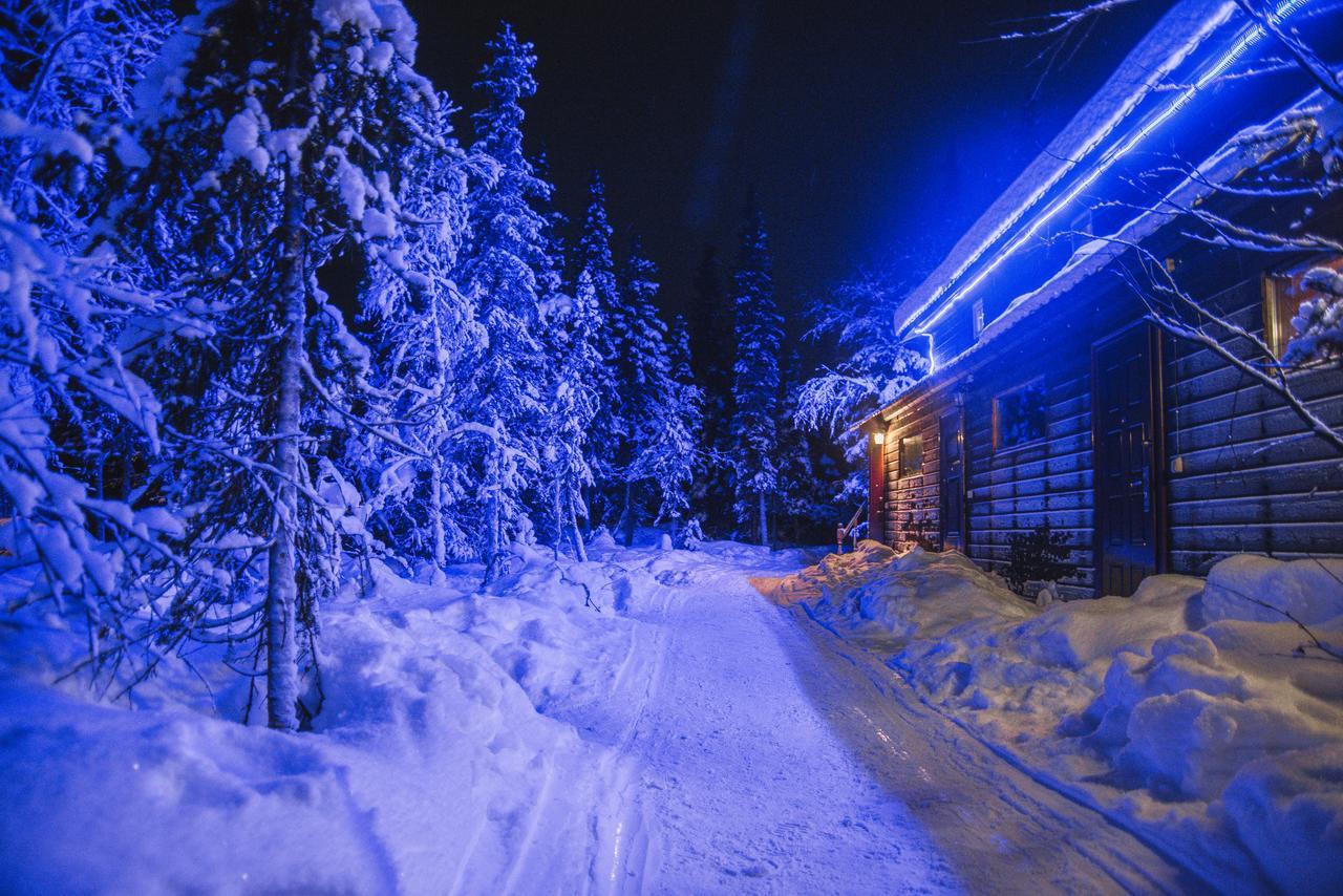 Baza Otdykha U Seidozera Guest House Lovozero Bagian luar foto